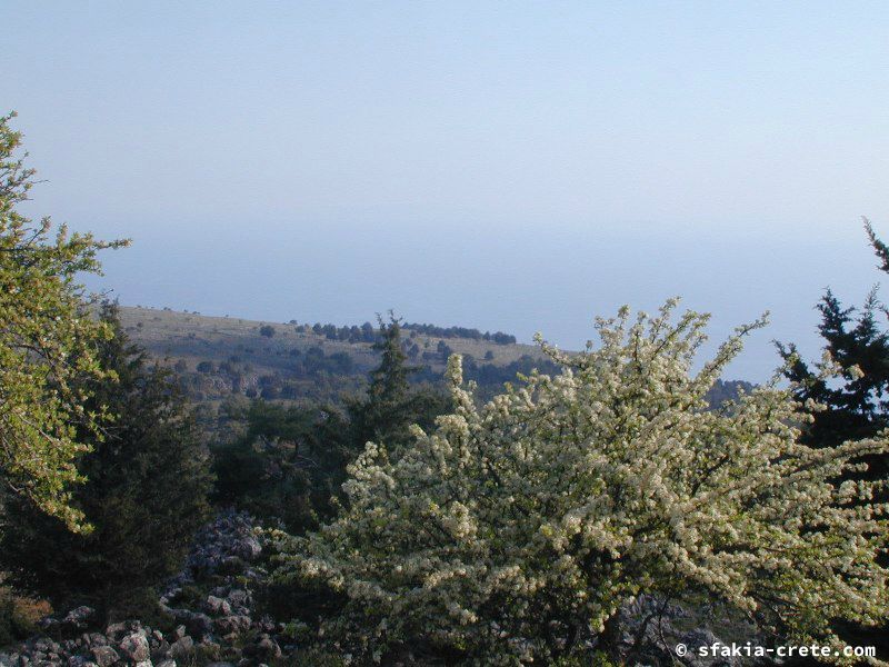 Photo report of a visit around Sfakia, Sougia and Loutro, southwest Crete, April 2007